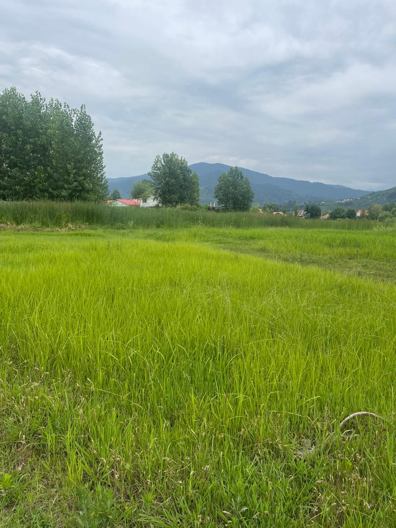 تصویر املاک 274