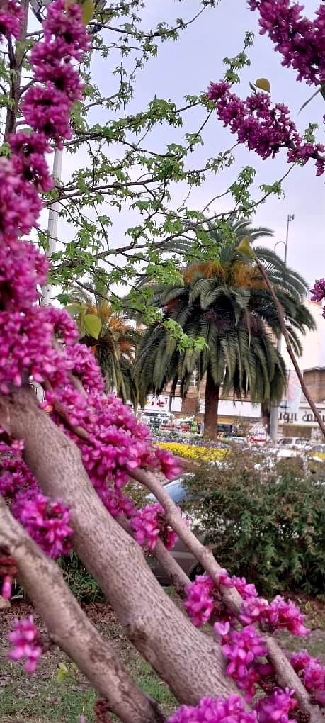تصویر املاک 364