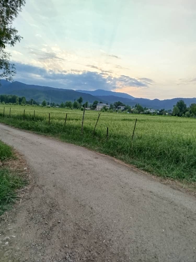 تصویر املاک 464