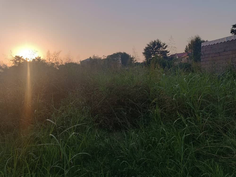 تصویر املاک 509