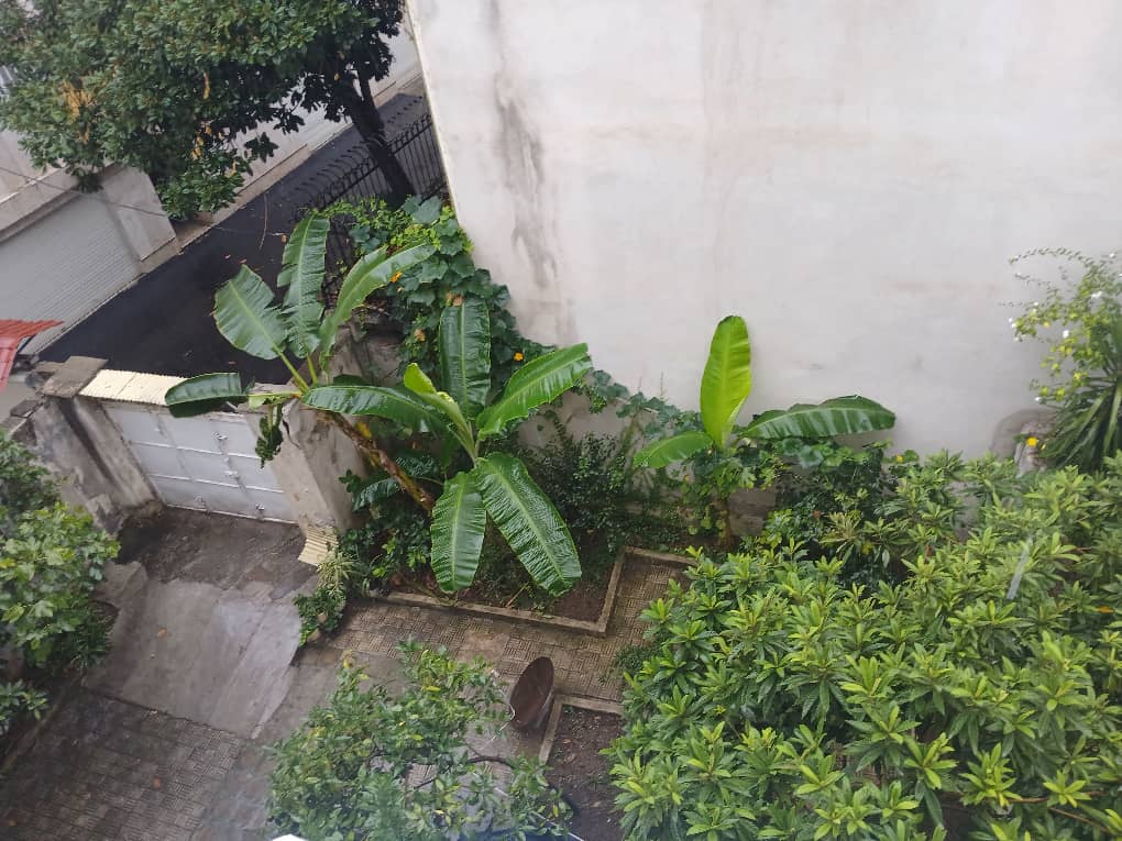 تصویر املاک 649