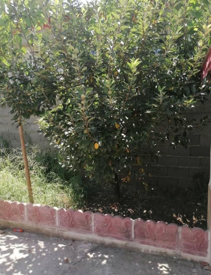 تصویر املاک 671