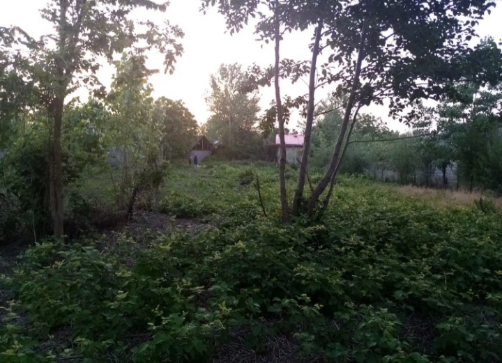 تصویر املاک 851