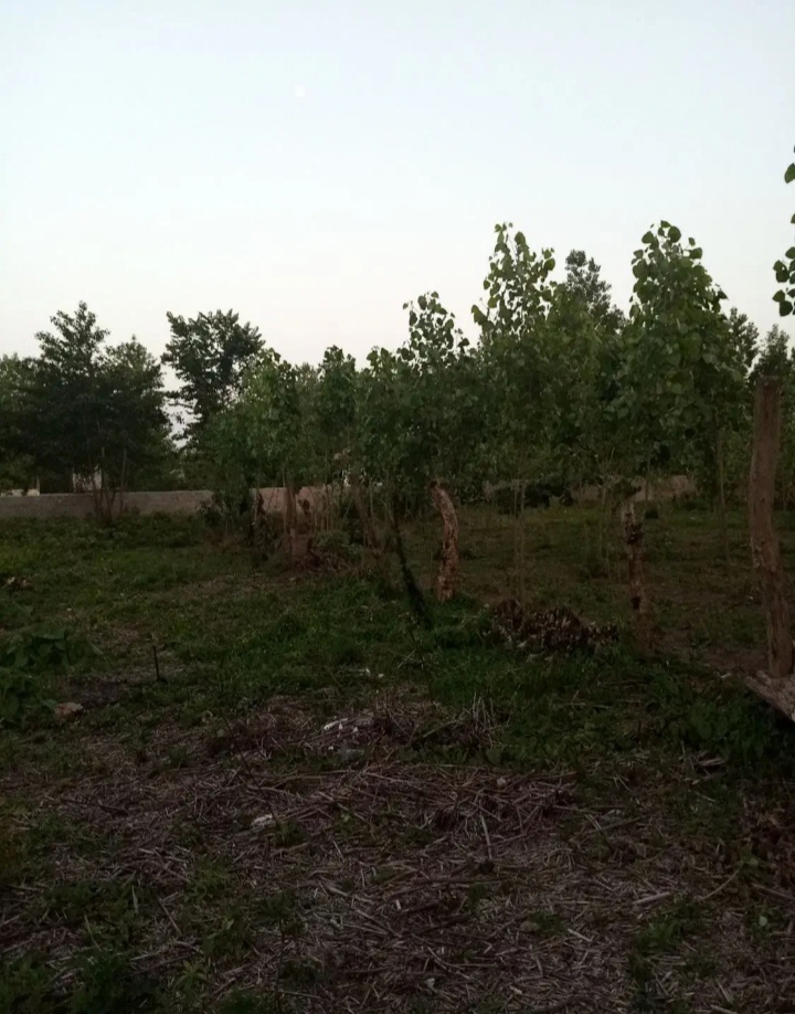 تصویر املاک 853