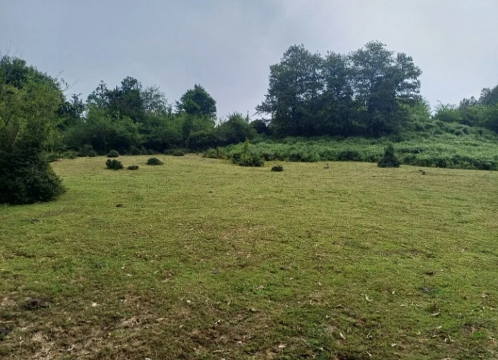 تصویر املاک 855