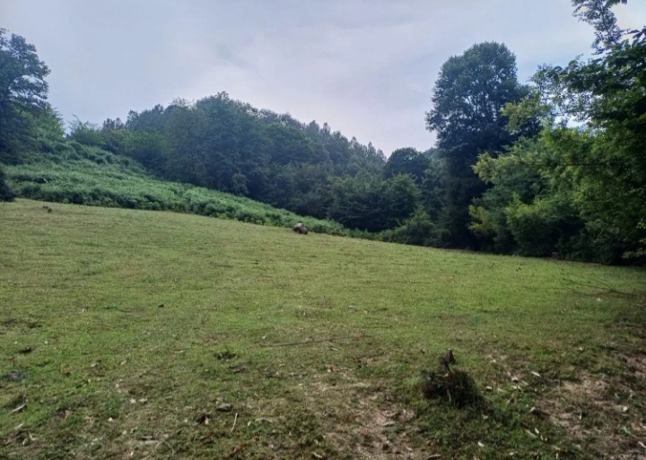 تصویر املاک 857