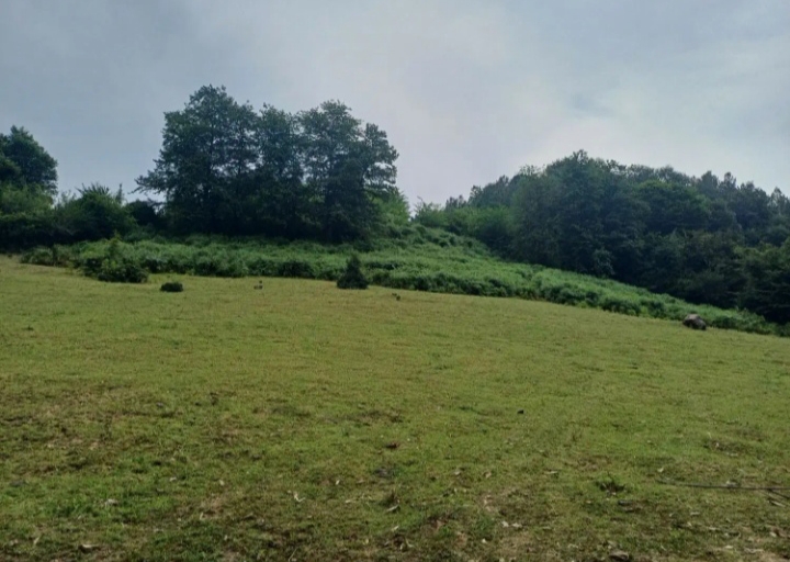 تصویر املاک 856