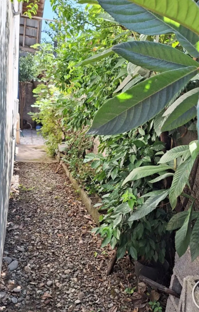 تصویر املاک 1060