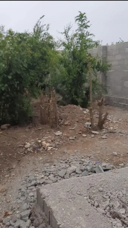 تصویر املاک 1171