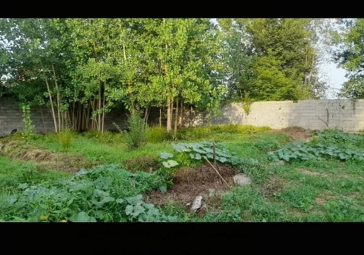 تصویر املاک 1197