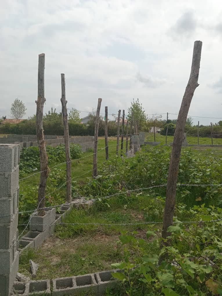 تصویر املاک 1273