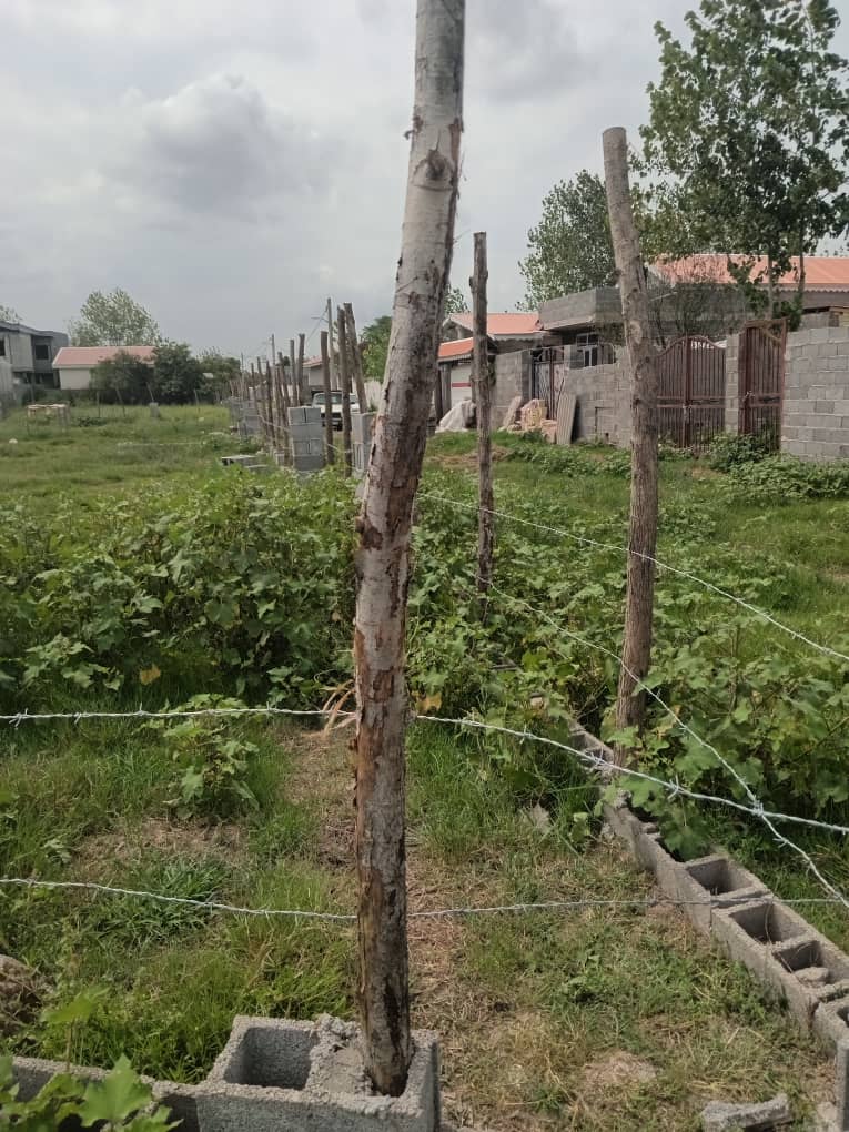 تصویر املاک 1274