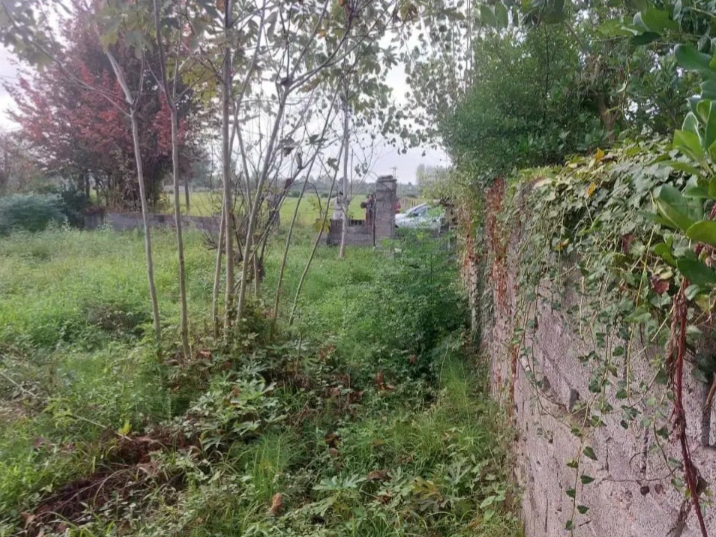 تصویر املاک 1329
