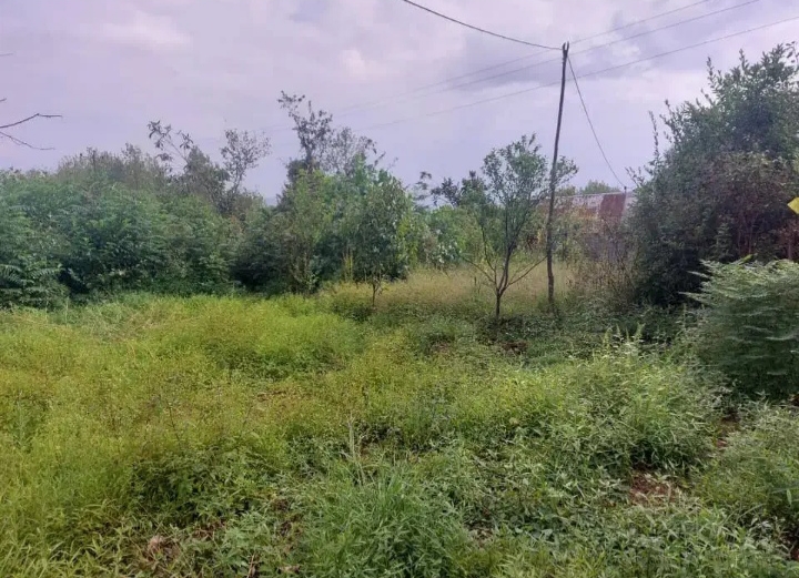 تصویر املاک 1333
