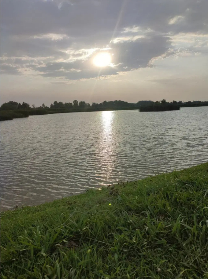 تصویر املاک 1441