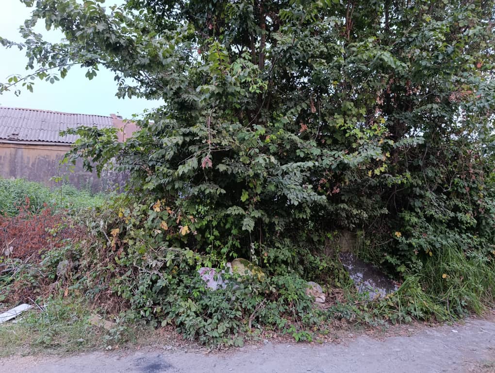 تصویر املاک 1469