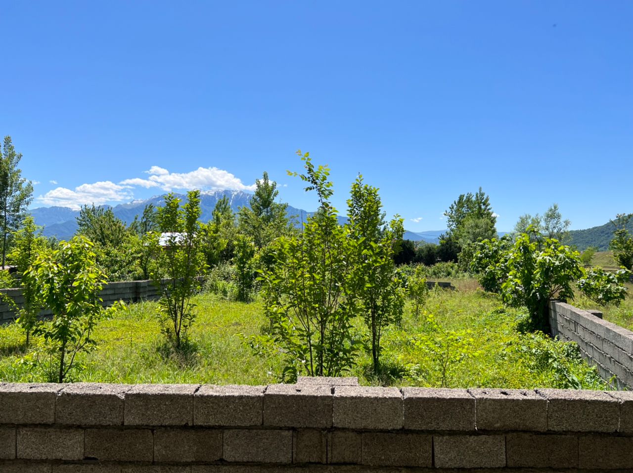 تصویر املاک 1486