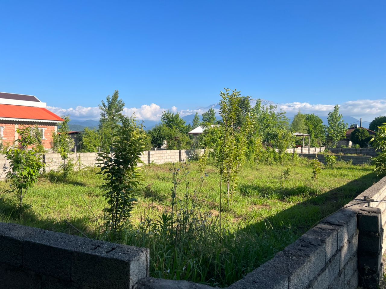 تصویر املاک 1494