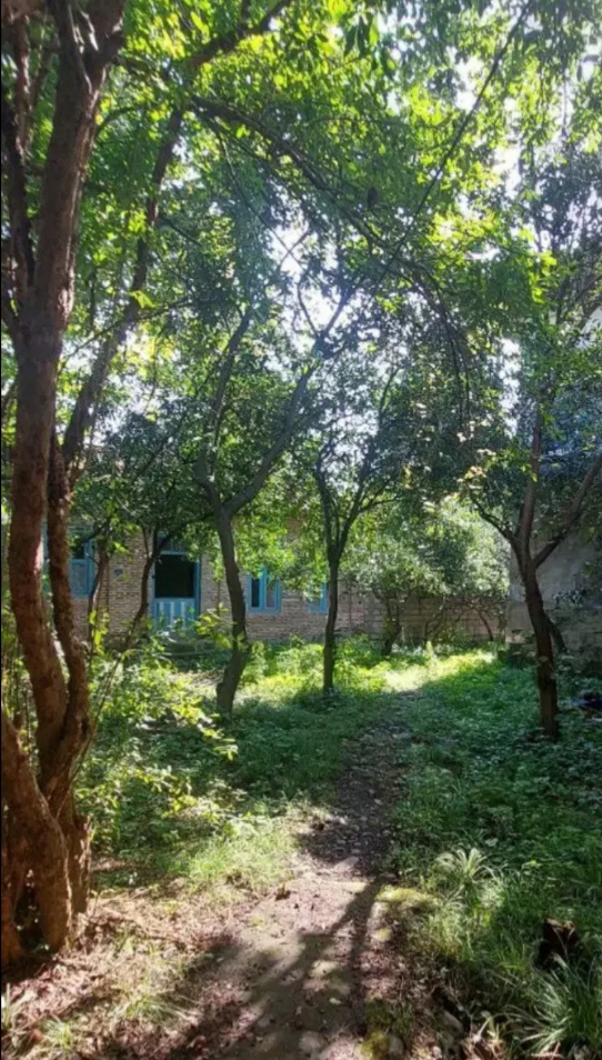 تصویر املاک 1663