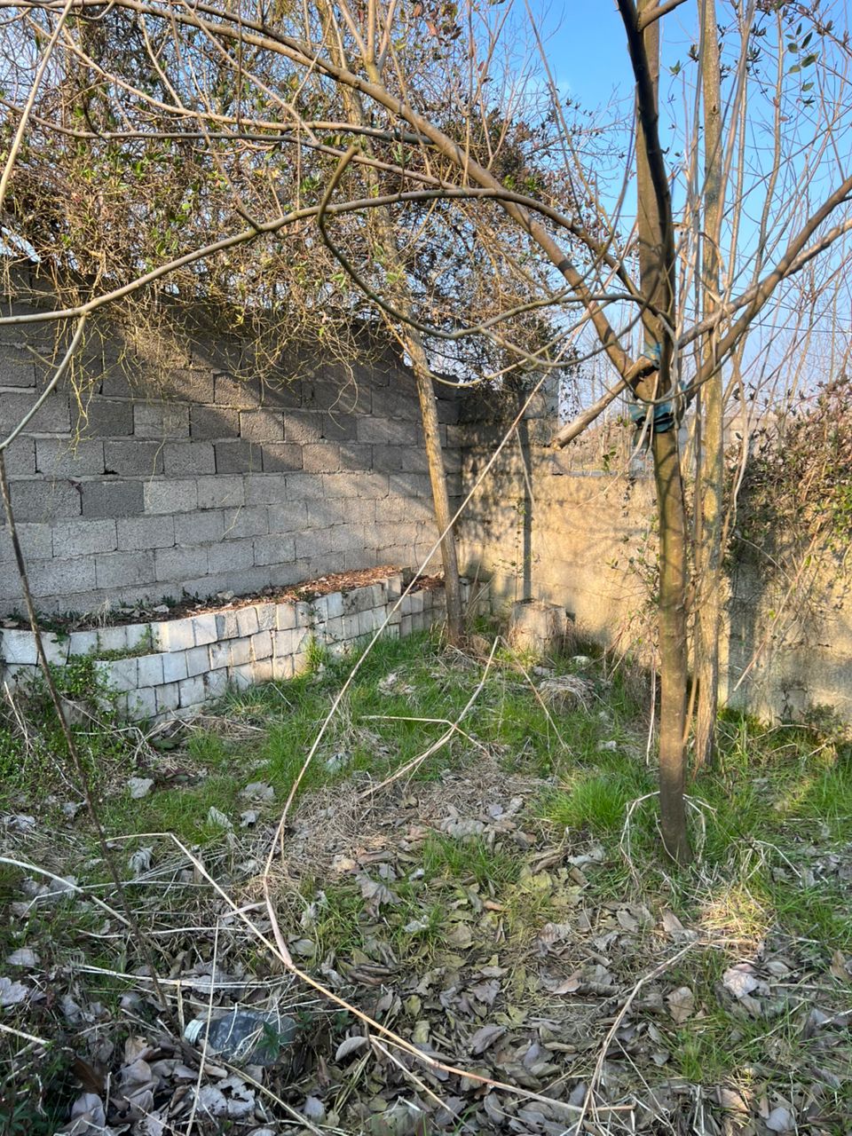 تصویر املاک 1733
