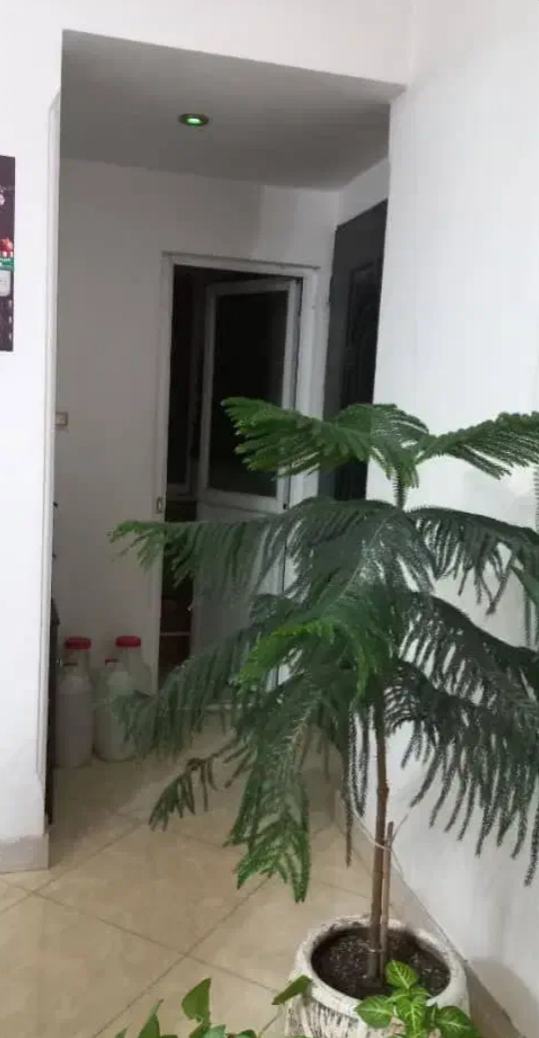 تصویر املاک 2491