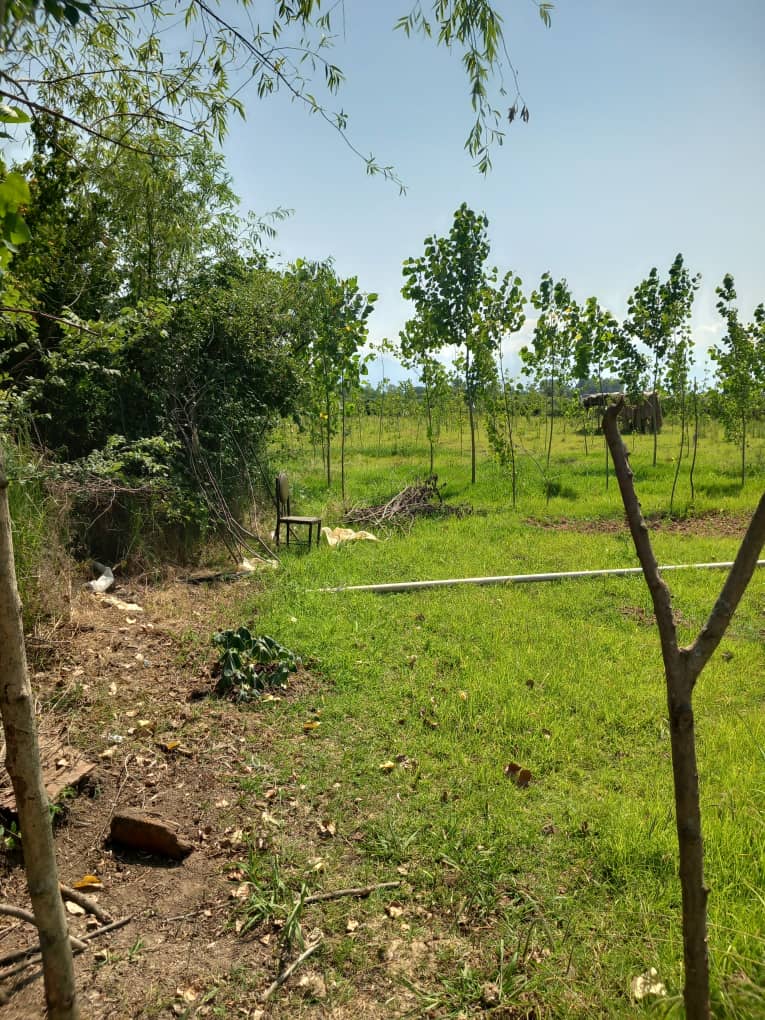 تصویر املاک 4862