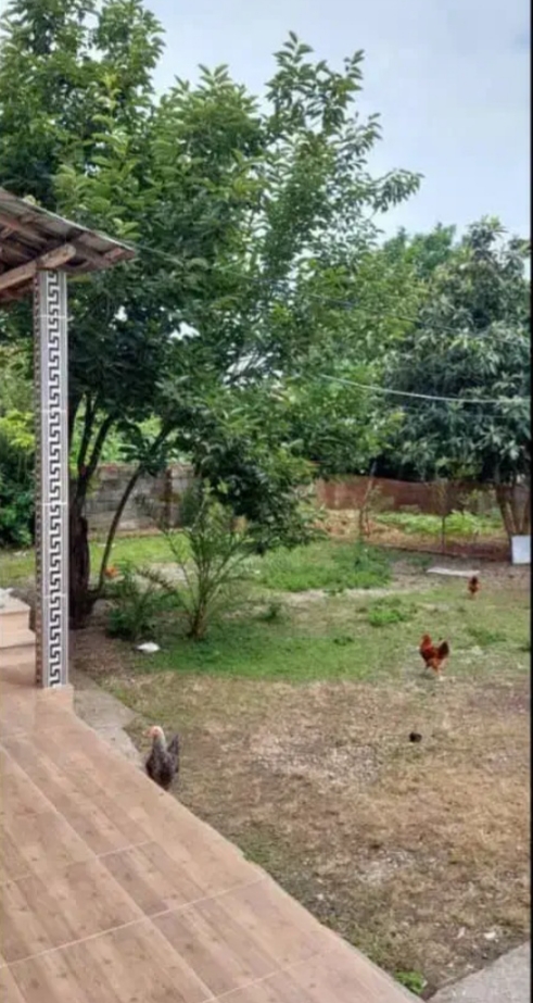 تصویر املاک 5265
