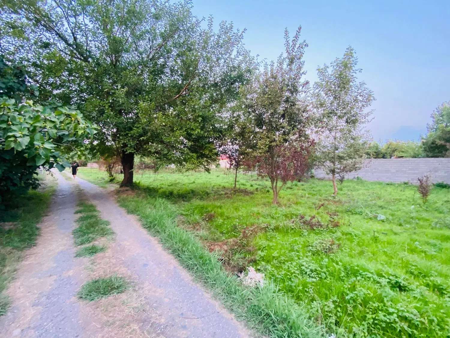 تصویر املاک 99191