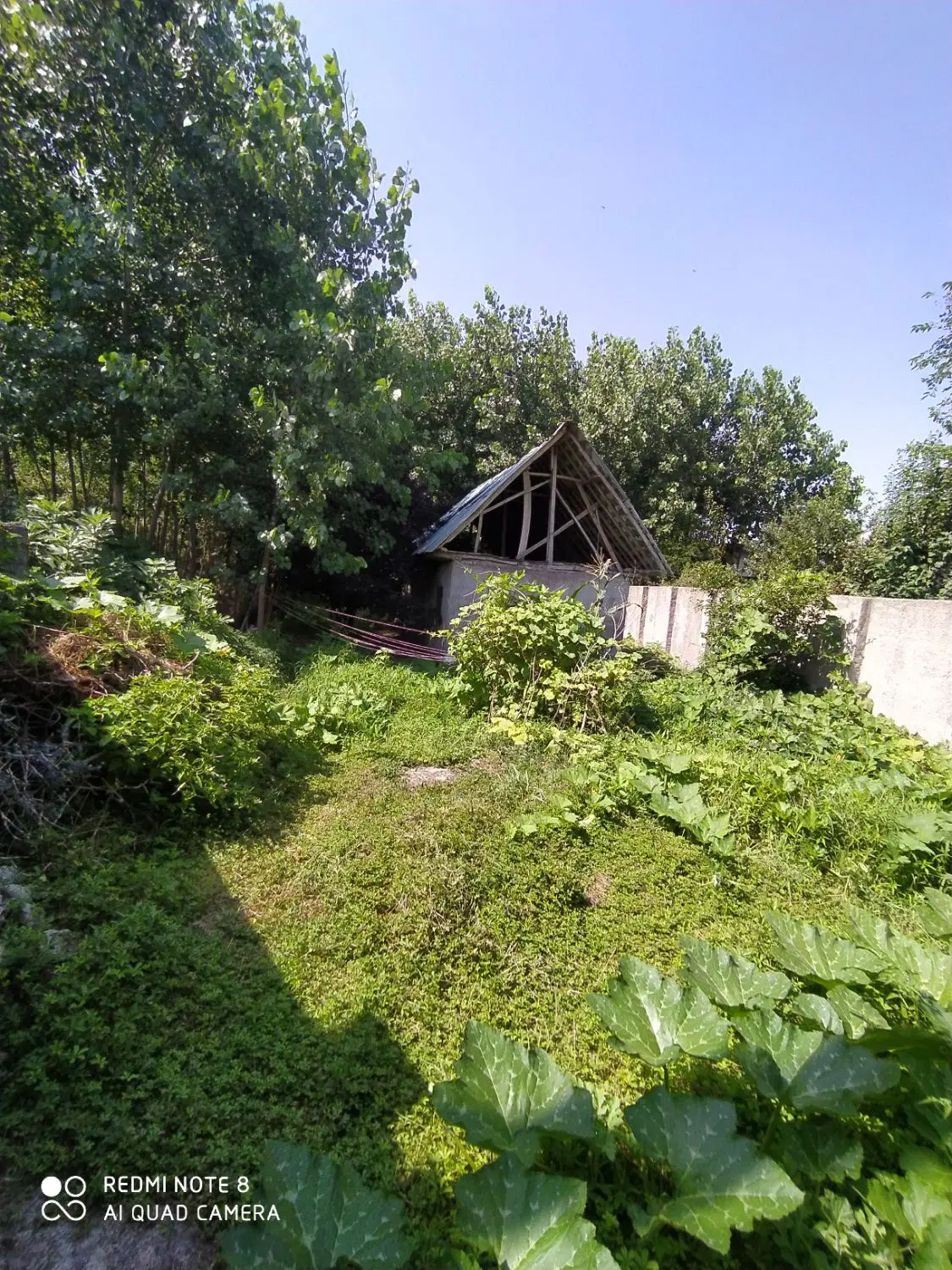 تصویر املاک 109549