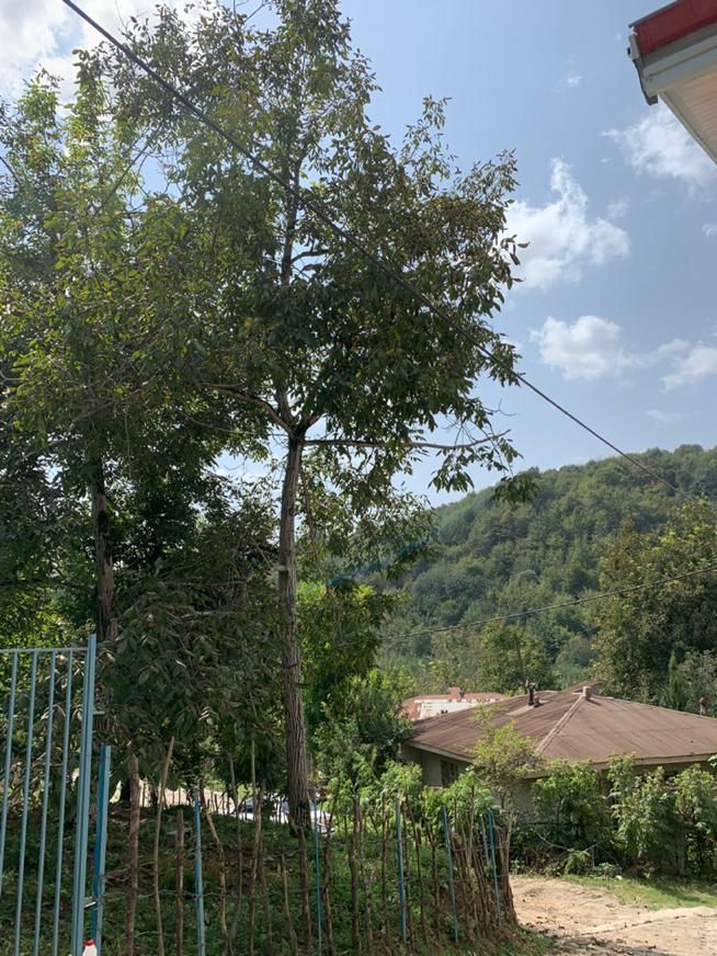 تصویر املاک 22641