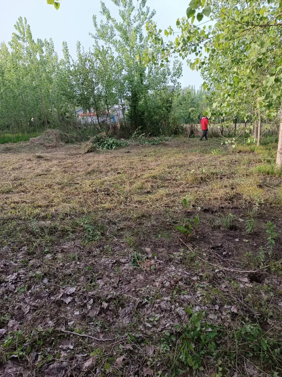 تصویر املاک 36088