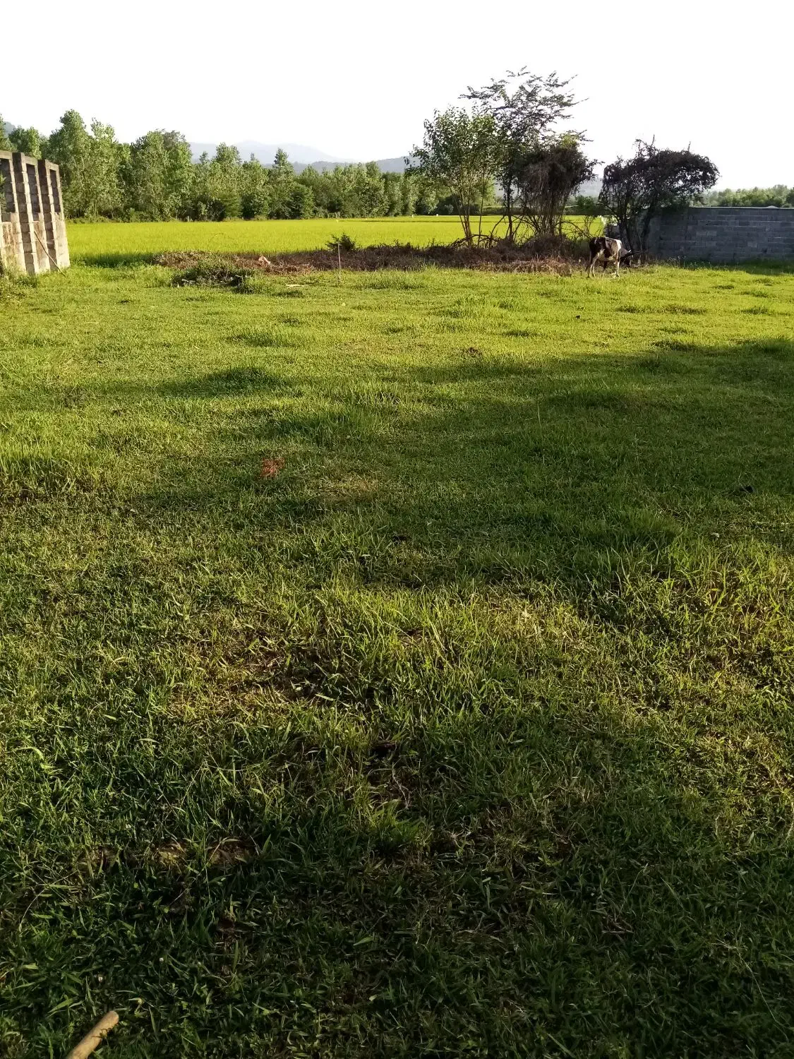 تصویر املاک 37972