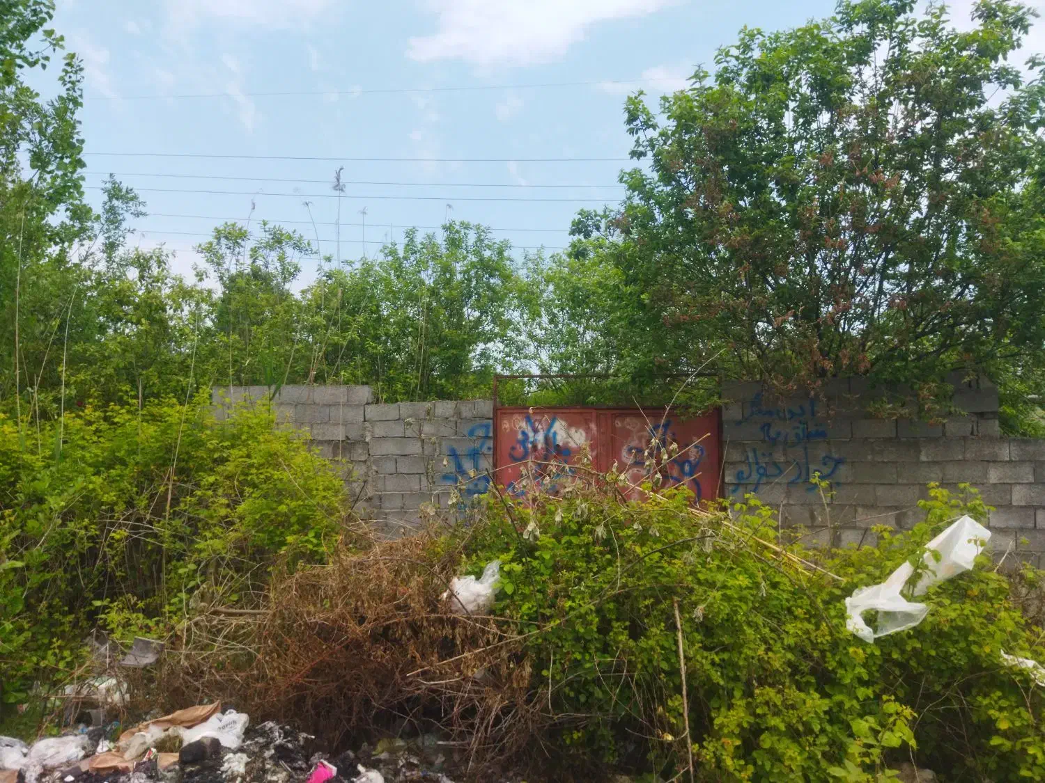 تصویر املاک 38208