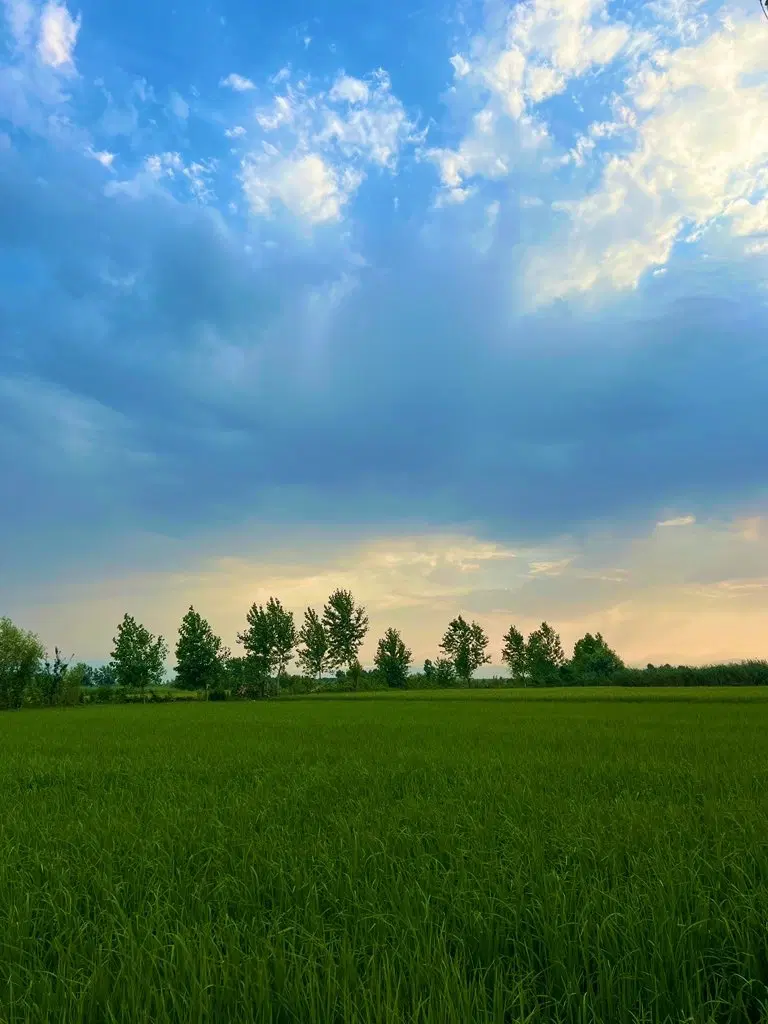 تصویر املاک 136134