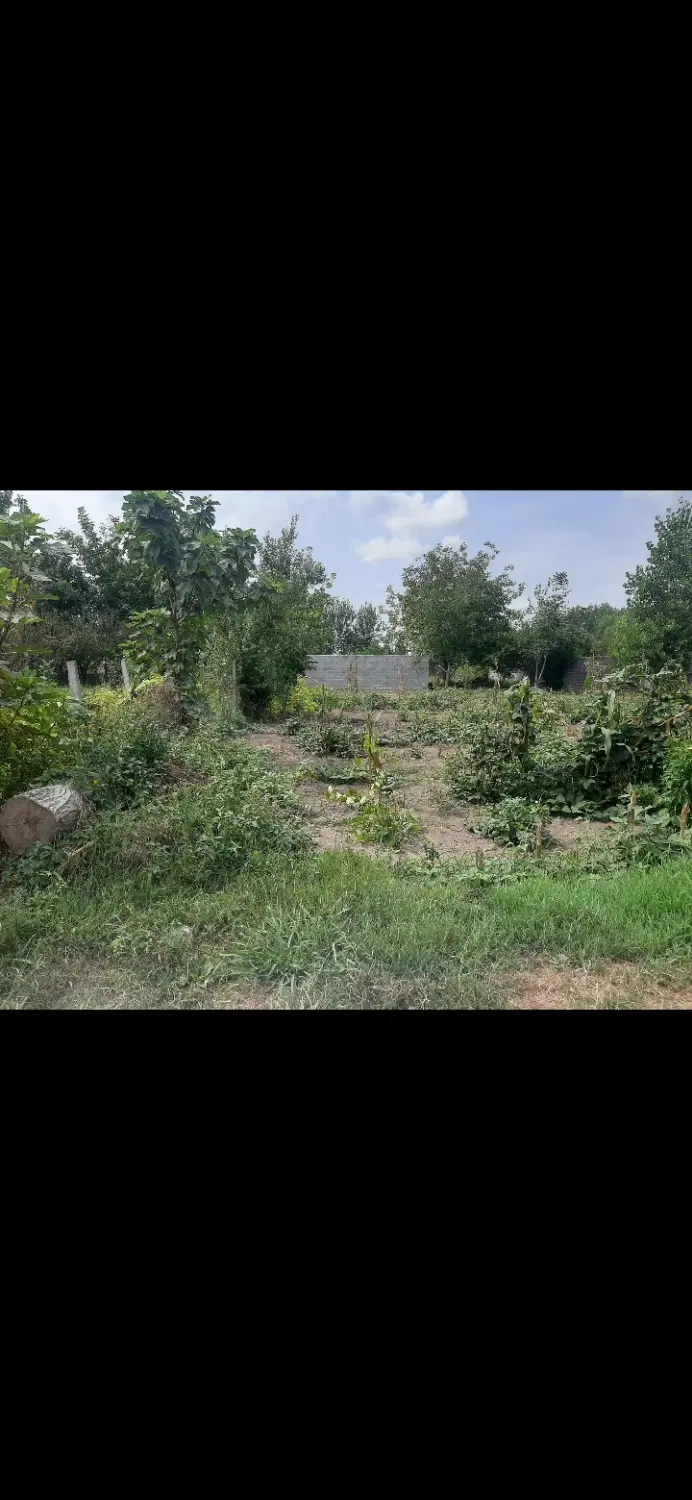 تصویر املاک 136770