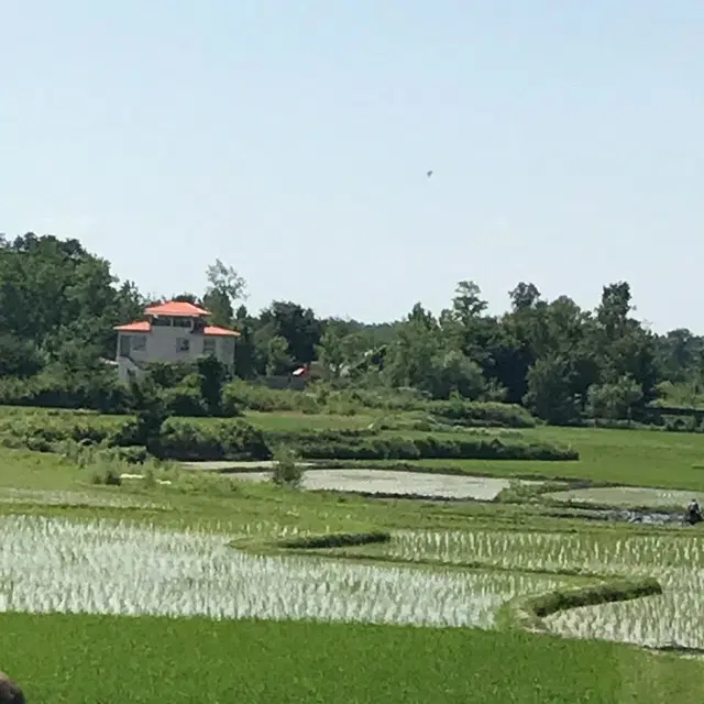 تصویر املاک 124536