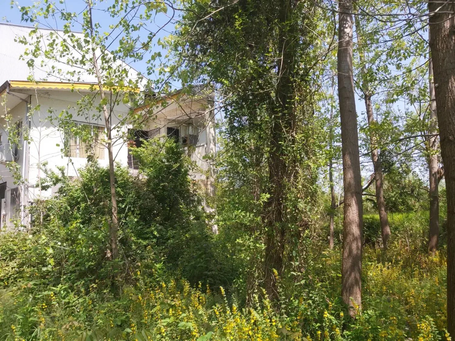 تصویر املاک 7642