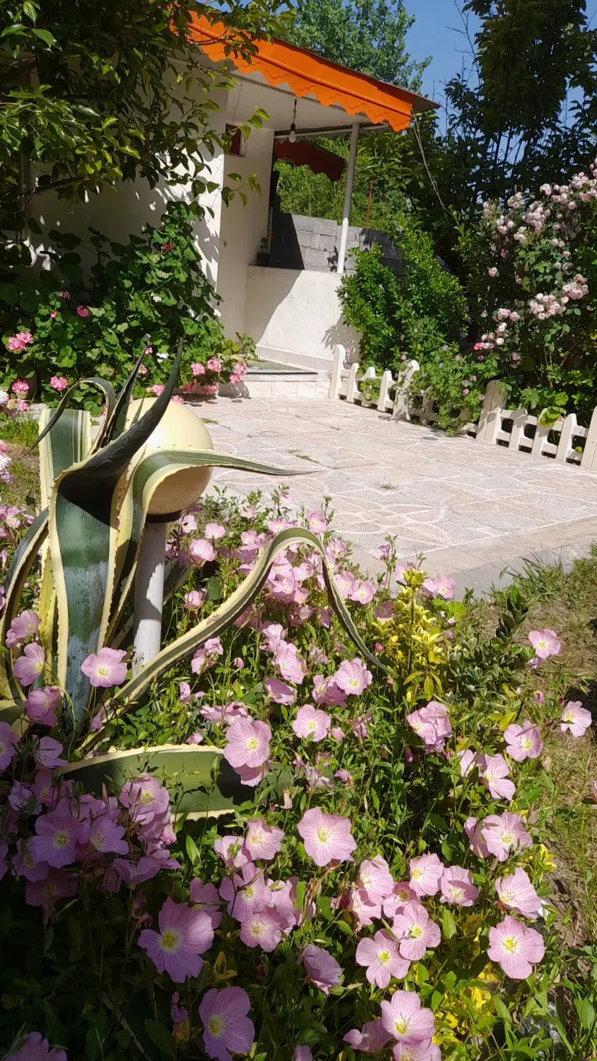 تصویر املاک 66891