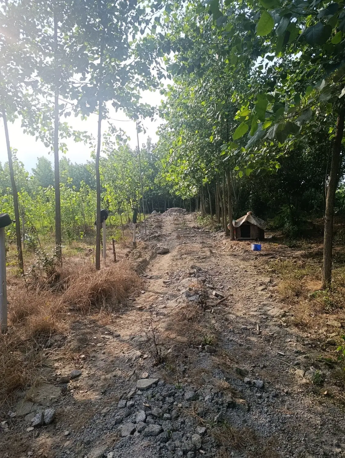 تصویر املاک 103486