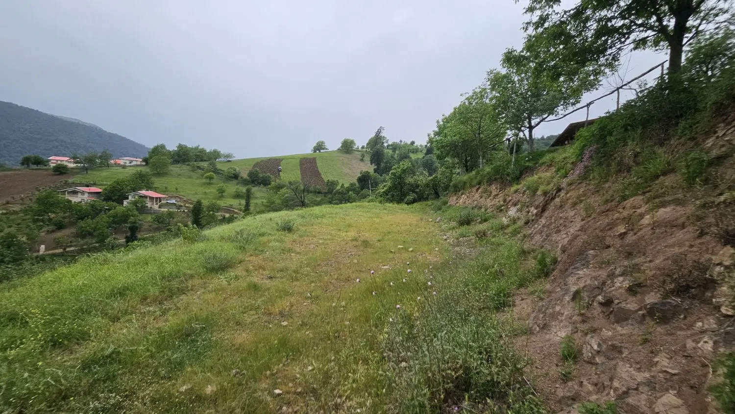 تصویر املاک 114241