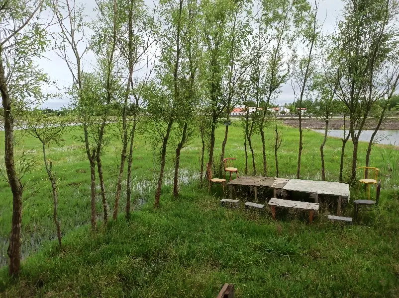 تصویر املاک 43855