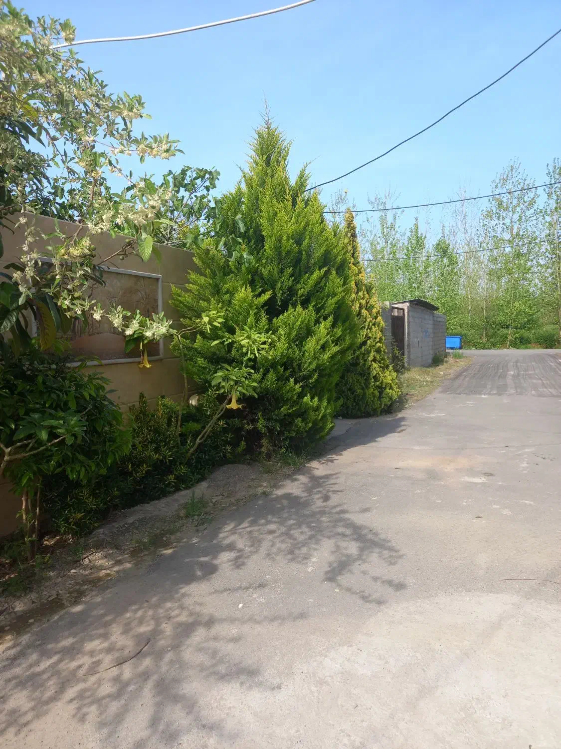 تصویر املاک 36992