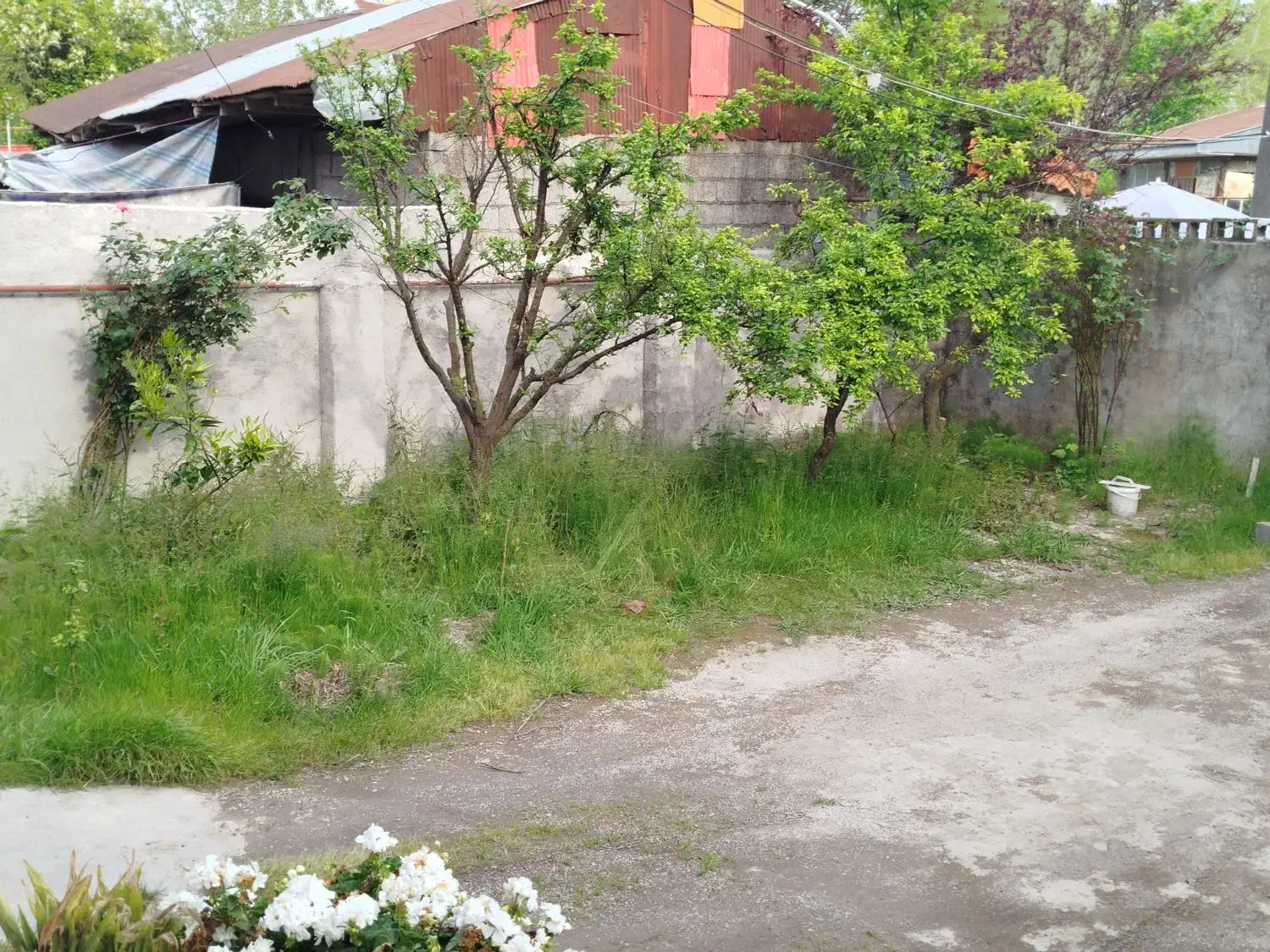 تصویر املاک 36819