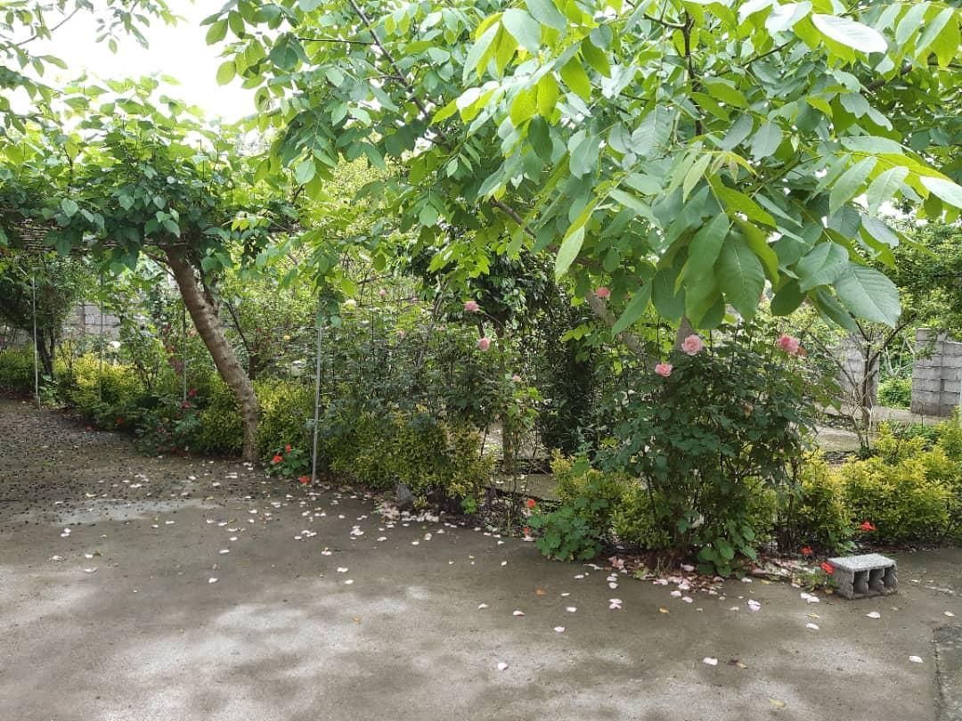 تصویر املاک 4492