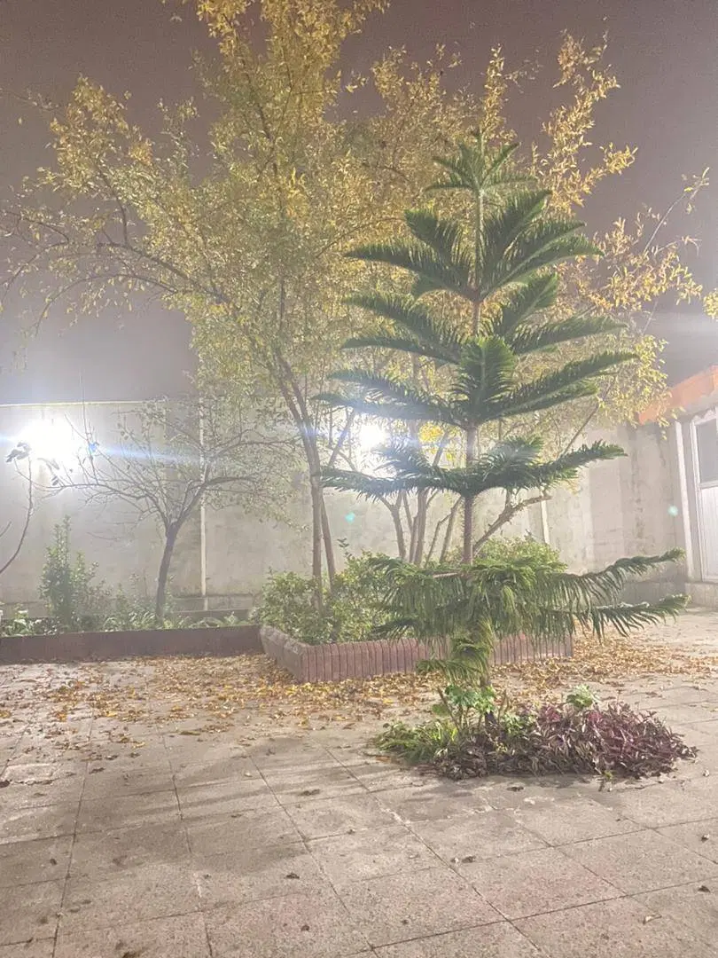 تصویر املاک 93687