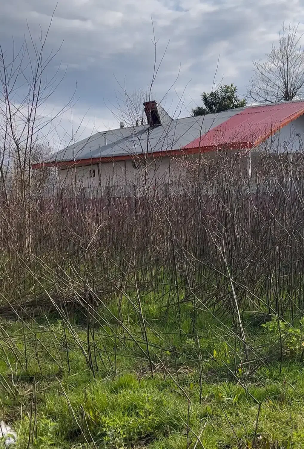 تصویر املاک 36830