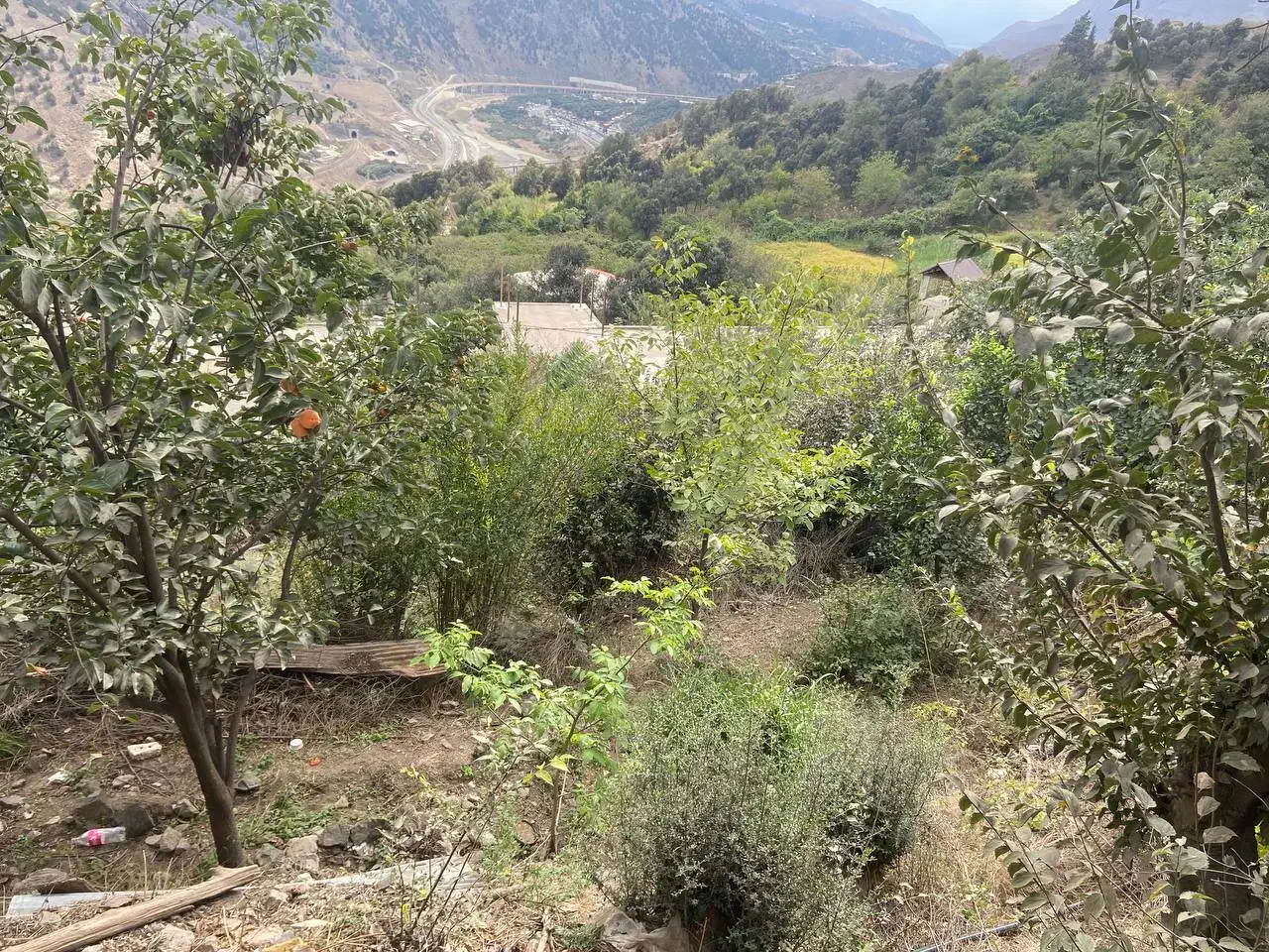 تصویر املاک 15200
