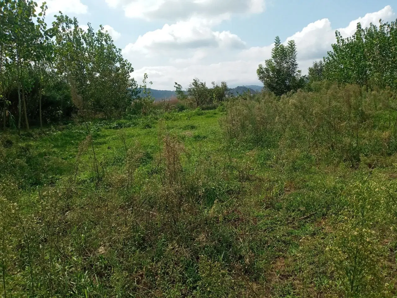 تصویر املاک 117227