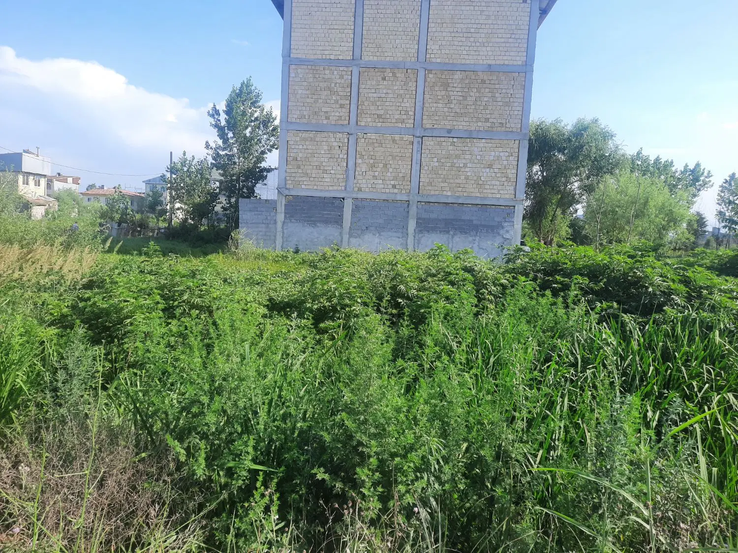 تصویر املاک 54576