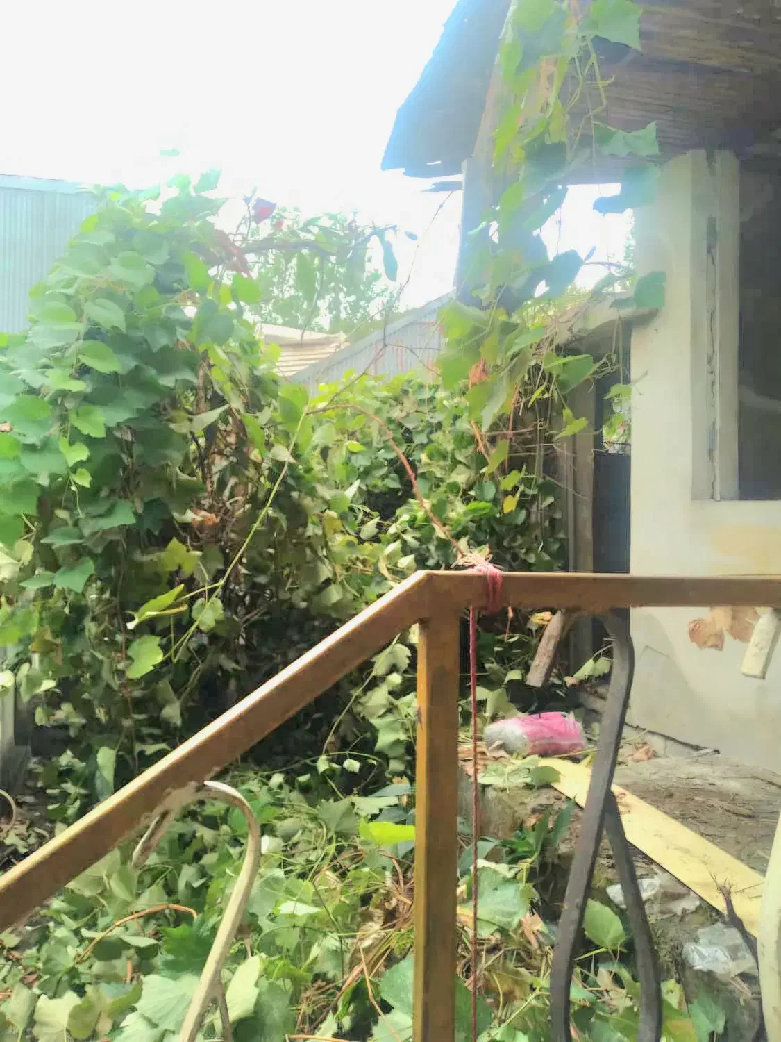 تصویر املاک 8678
